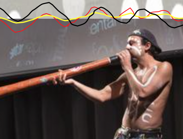 Didgeridoo Player Sydney